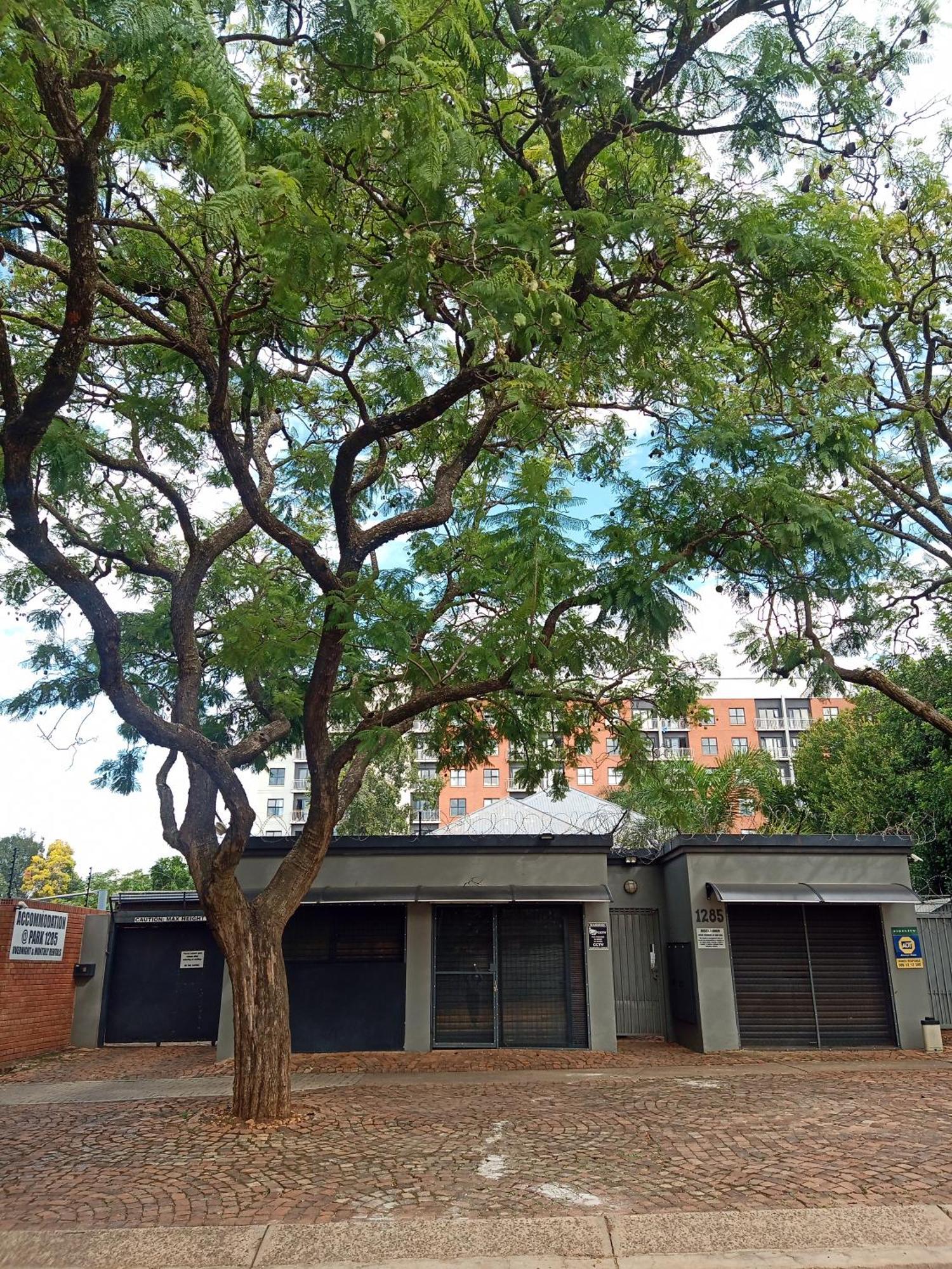 Accommodation@Park1285 Pretoria-Noord Exterior foto