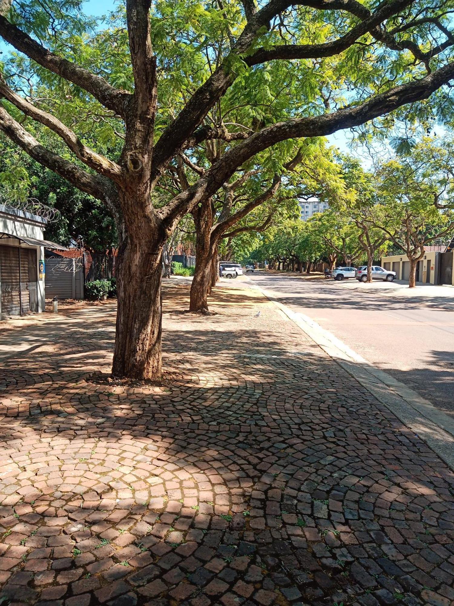 Accommodation@Park1285 Pretoria-Noord Exterior foto